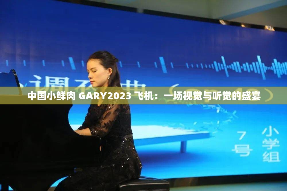 中国小鲜肉 GARY2023 飞机：一场视觉与听觉的盛宴