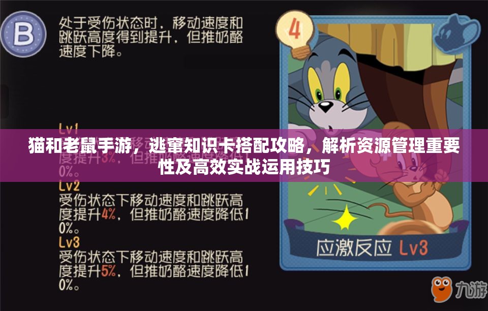 猫和老鼠手游，逃窜知识卡搭配攻略，解析资源管理重要性及高效实战运用技巧