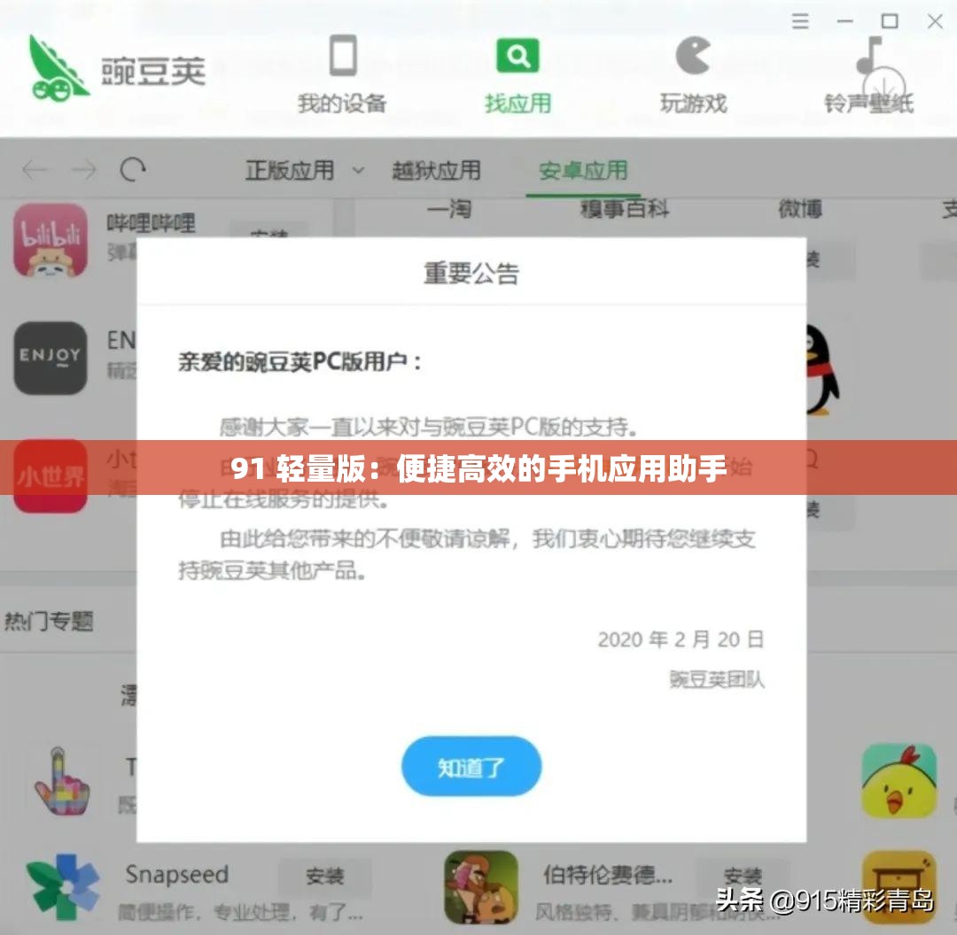 91 轻量版：便捷高效的手机应用助手