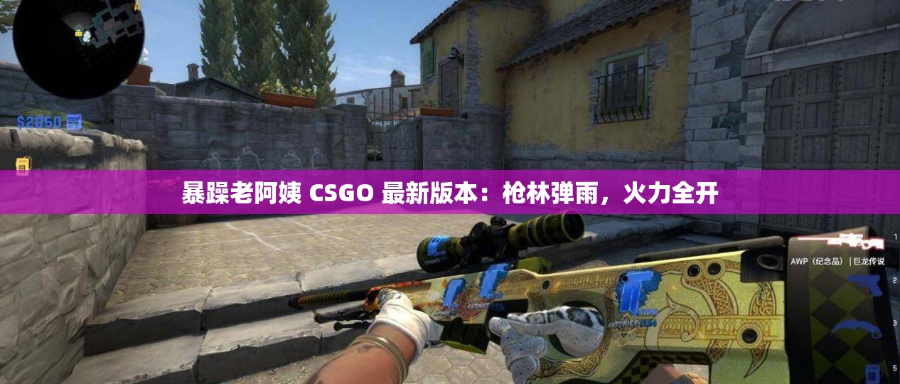 暴躁老阿姨 CSGO 最新版本：枪林弹雨，火力全开