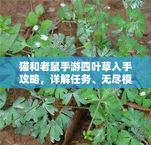 猫和老鼠手游四叶草入手攻略，详解任务、无尽模式及特价礼包获取方法