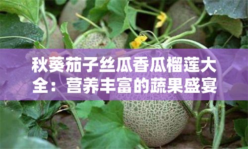 秋葵茄子丝瓜香瓜榴莲大全：营养丰富的蔬果盛宴