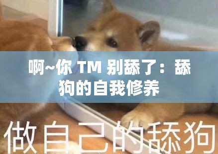 啊~你 TM 别舔了：舔狗的自我修养