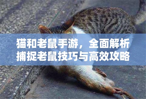 猫和老鼠手游，全面解析捕捉老鼠技巧与高效攻略深度分享