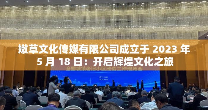 嫩草文化传媒有限公司成立于 2023 年 5 月 18 日：开启辉煌文化之旅