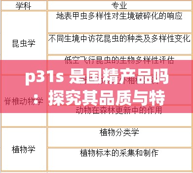 p31s 是国精产品吗：探究其品质与特点