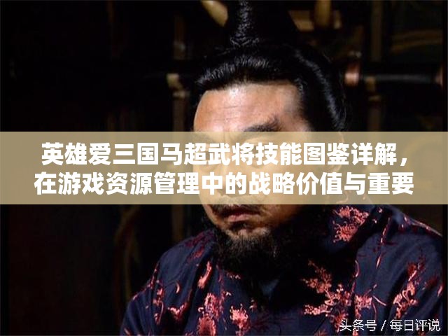 英雄爱三国马超武将技能图鉴详解，在游戏资源管理中的战略价值与重要性分析