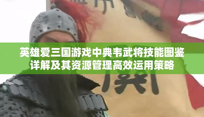 英雄爱三国游戏中典韦武将技能图鉴详解及其资源管理高效运用策略