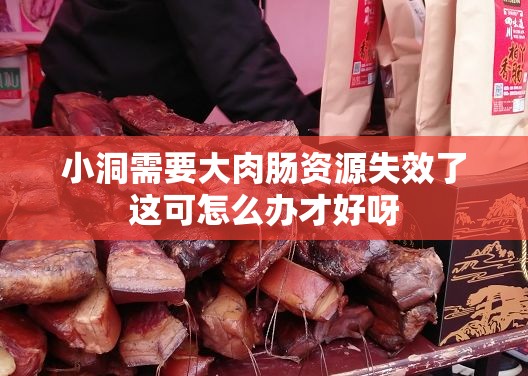 小洞需要大肉肠资源失效了这可怎么办才好呀