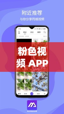 粉色视频 APP 下载安装苏州晶体公司：打造极致视觉体验