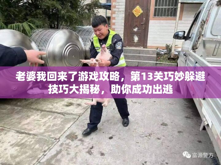 老婆我回来了游戏攻略，第13关巧妙躲避技巧大揭秘，助你成功出逃