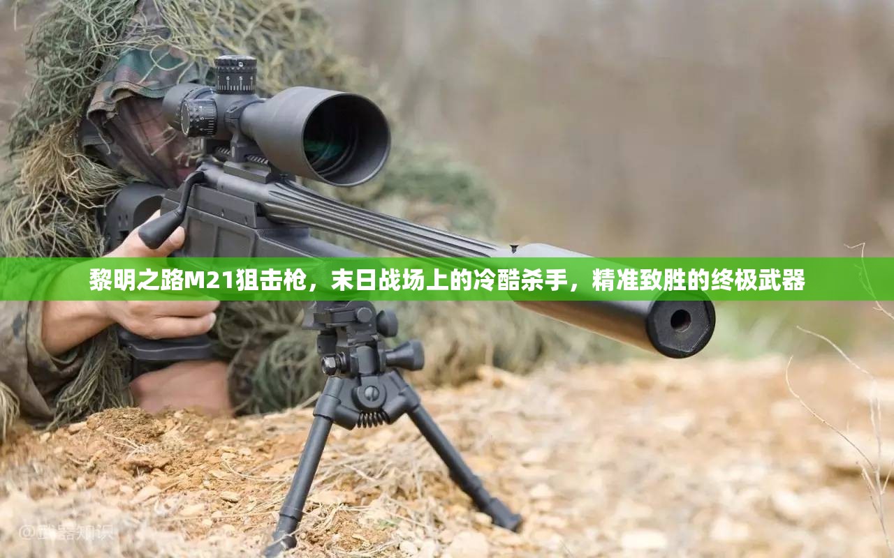 黎明之路M21狙击枪，末日战场上的冷酷杀手，精准致胜的终极武器