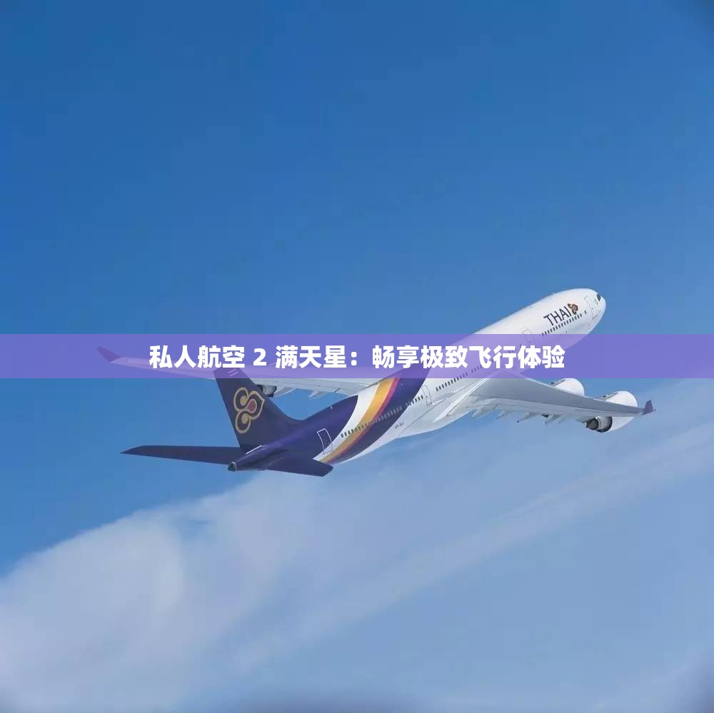 私人航空 2 满天星：畅享极致飞行体验