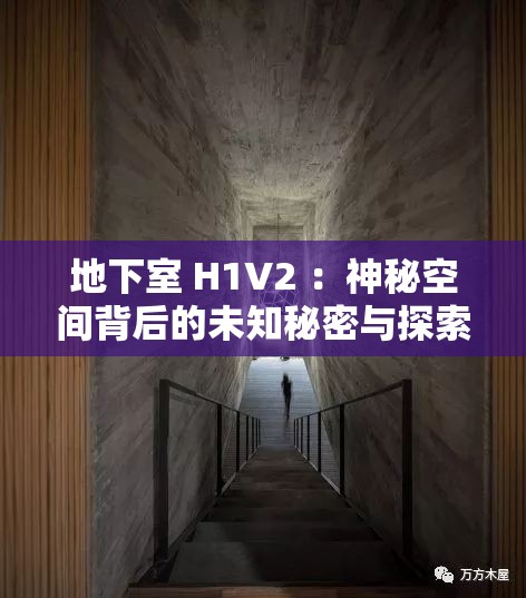 地下室 H1V2 ：神秘空间背后的未知秘密与探索之旅