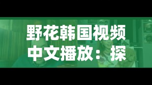 野花韩国视频中文播放：探索韩国电影的魅力