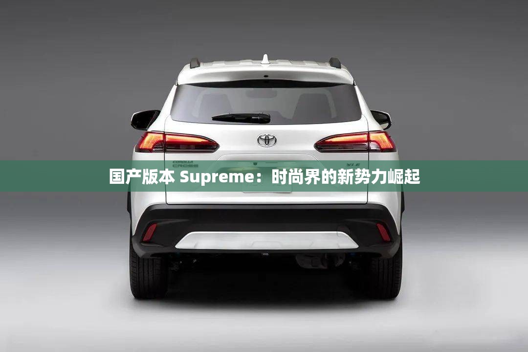 国产版本 Supreme：时尚界的新势力崛起