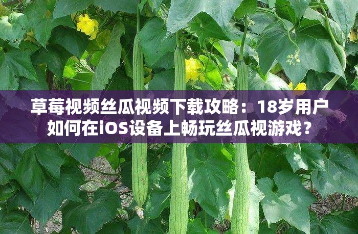 草莓视频丝瓜视频下载攻略：18岁用户如何在iOS设备上畅玩丝瓜视游戏？