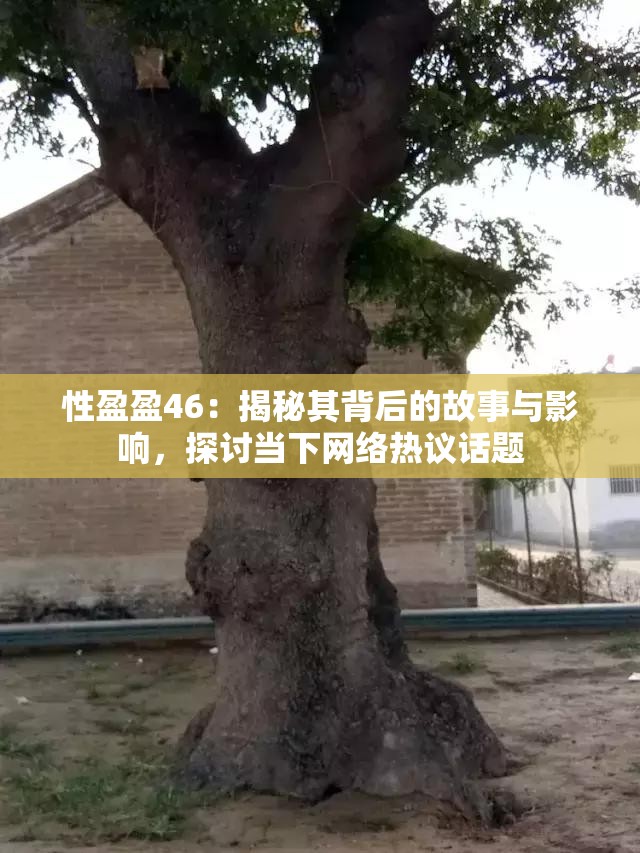 性盈盈46：揭秘其背后的故事与影响，探讨当下网络热议话题