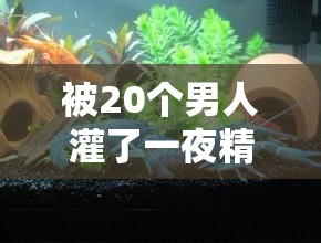 被20个男人灌了一夜精子的真实经历：揭秘背后的故事与情感纠葛