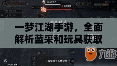 一梦江湖手游，全面解析蓝采和玩具获取方法及高效资源管理技巧