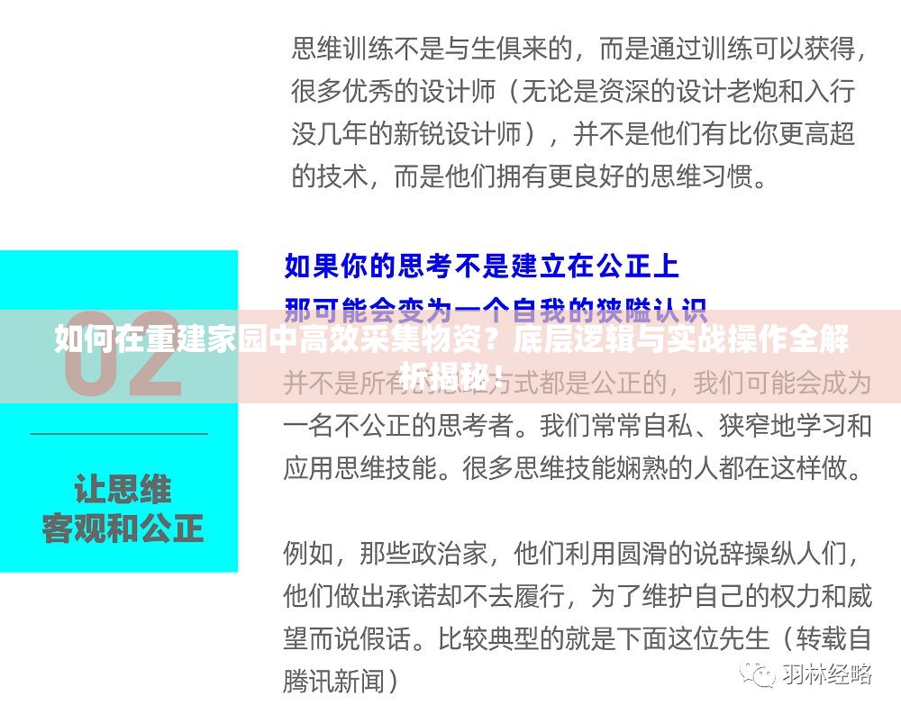 如何在重建家园中高效采集物资？底层逻辑与实战操作全解析揭秘！