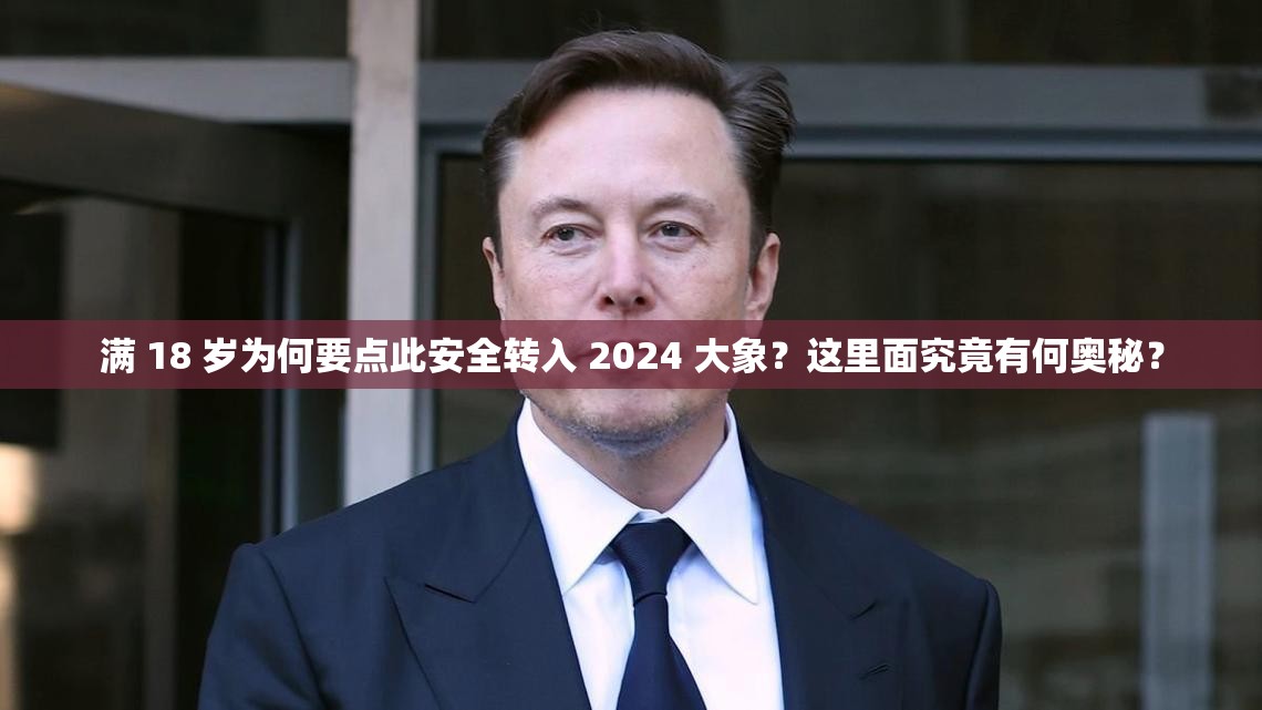 满 18 岁为何要点此安全转入 2024 大象？这里面究竟有何奥秘？