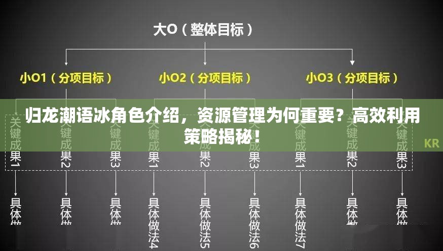 归龙潮语冰角色介绍，资源管理为何重要？高效利用策略揭秘！