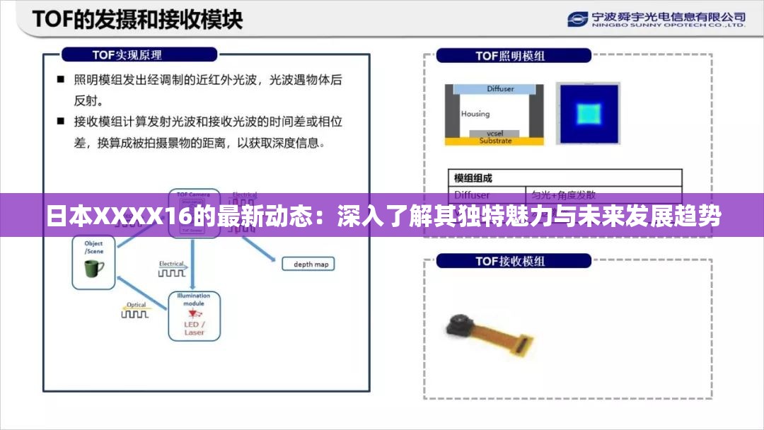 日本XXXX16的最新动态：深入了解其独特魅力与未来发展趋势