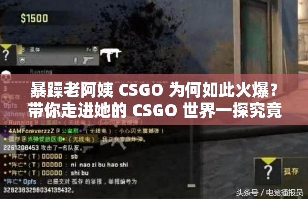 暴躁老阿姨 CSGO 为何如此火爆？带你走进她的 CSGO 世界一探究竟