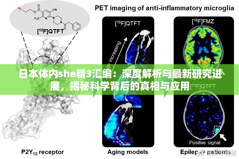 日本体内she精3汇编：深度解析与最新研究进展，揭秘科学背后的真相与应用