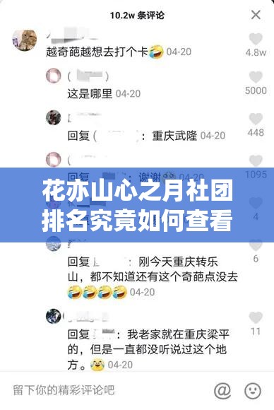 花亦山心之月社团排名究竟如何查看？全面攻略助你轻松掌握！