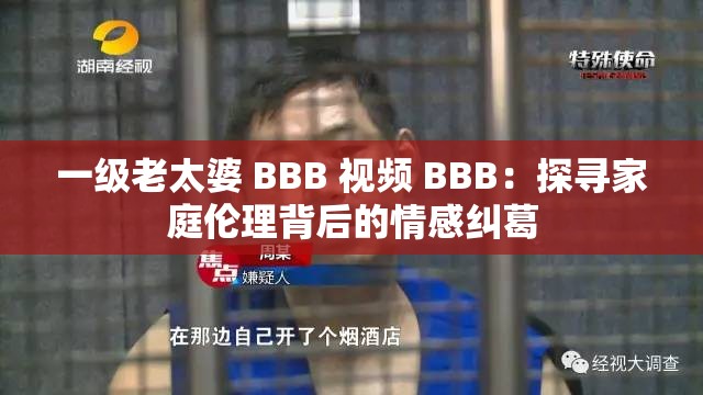 一级老太婆 BBB 视频 BBB：探寻家庭伦理背后的情感纠葛