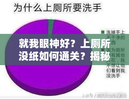 就我眼神好？上厕所没纸如何通关？揭秘攻略及未来玩法大变革预测！