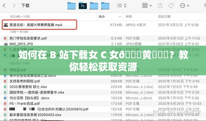 如何在 B 站下载女 C 女🔞黄㊙️❌？教你轻松获取资源