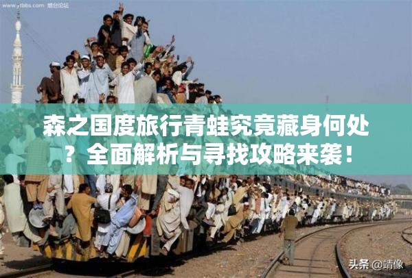 森之国度旅行青蛙究竟藏身何处？全面解析与寻找攻略来袭！