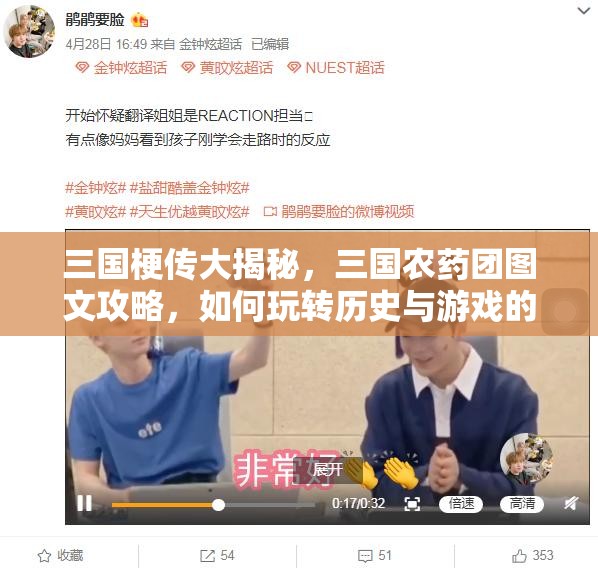 三国梗传大揭秘，三国农药团图文攻略，如何玩转历史与游戏的融合之谜？