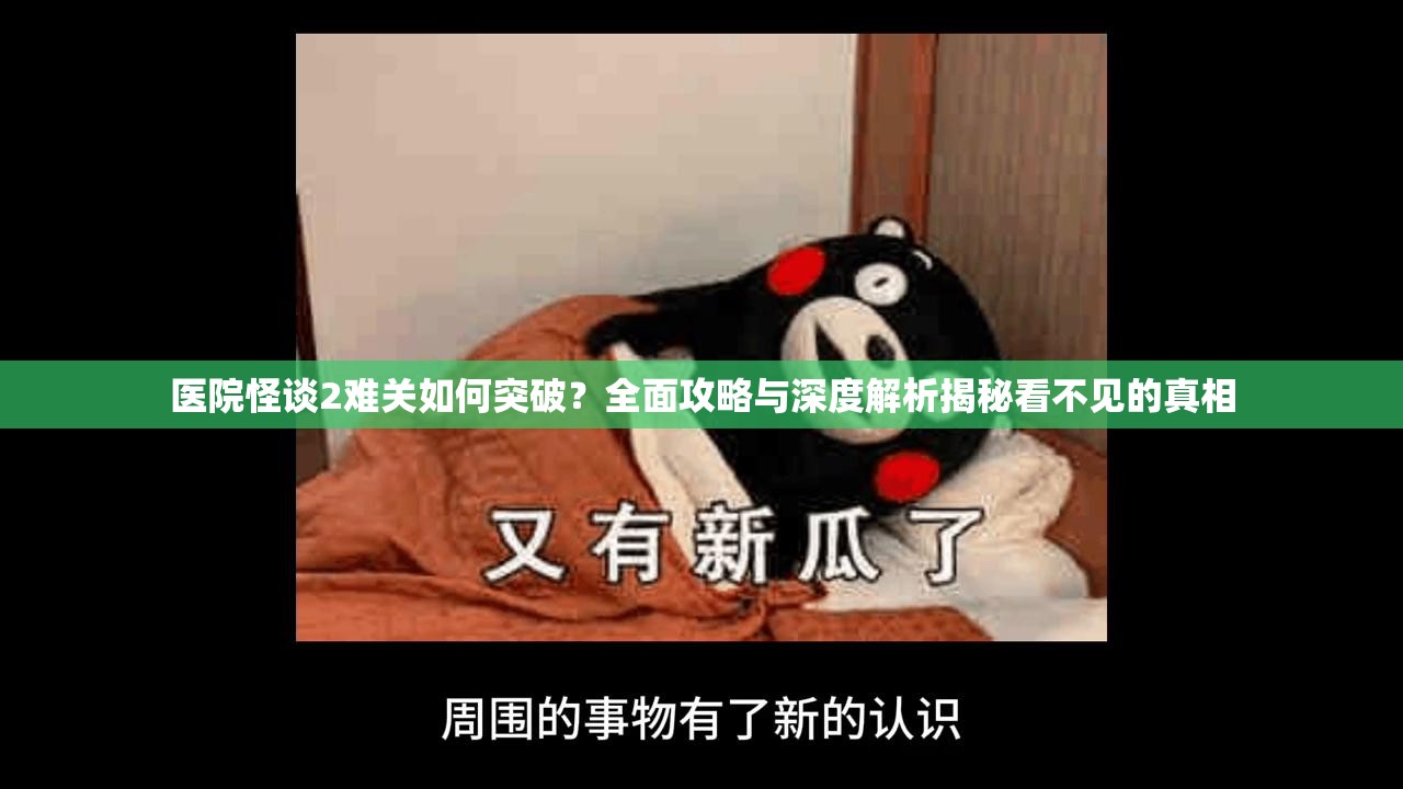 医院怪谈2难关如何突破？全面攻略与深度解析揭秘看不见的真相