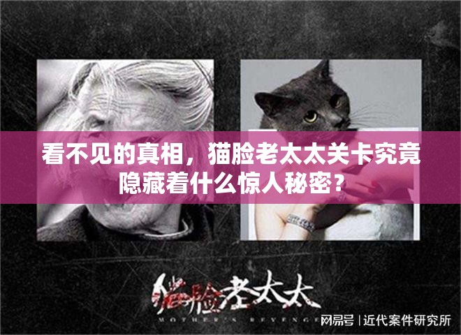 看不见的真相，猫脸老太太关卡究竟隐藏着什么惊人秘密？