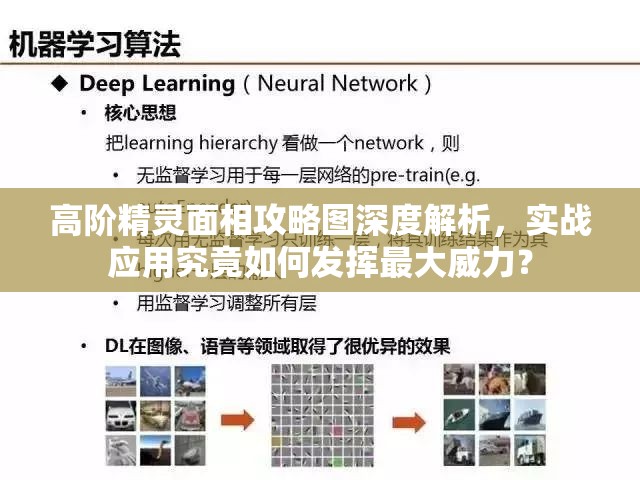 高阶精灵面相攻略图深度解析，实战应用究竟如何发挥最大威力？