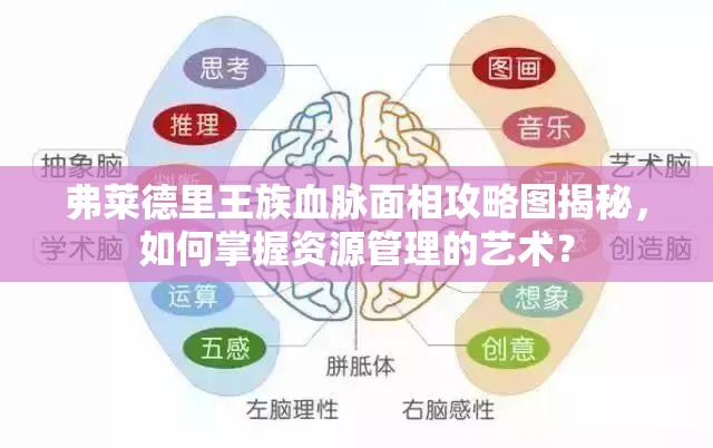 弗莱德里王族血脉面相攻略图揭秘，如何掌握资源管理的艺术？