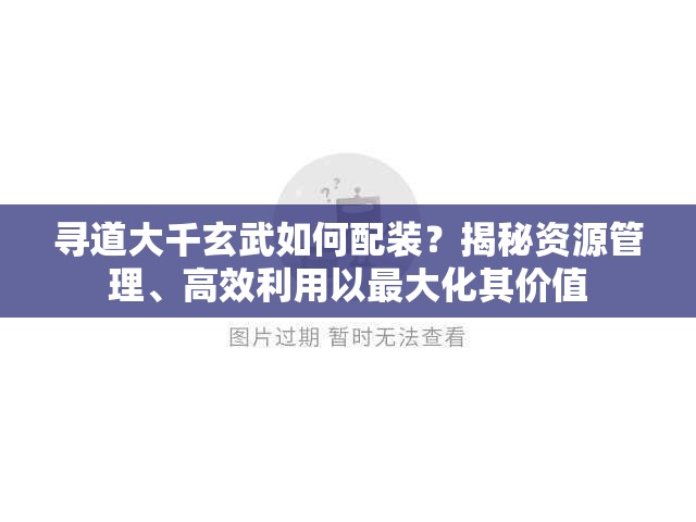 寻道大千玄武如何配装？揭秘资源管理、高效利用以最大化其价值