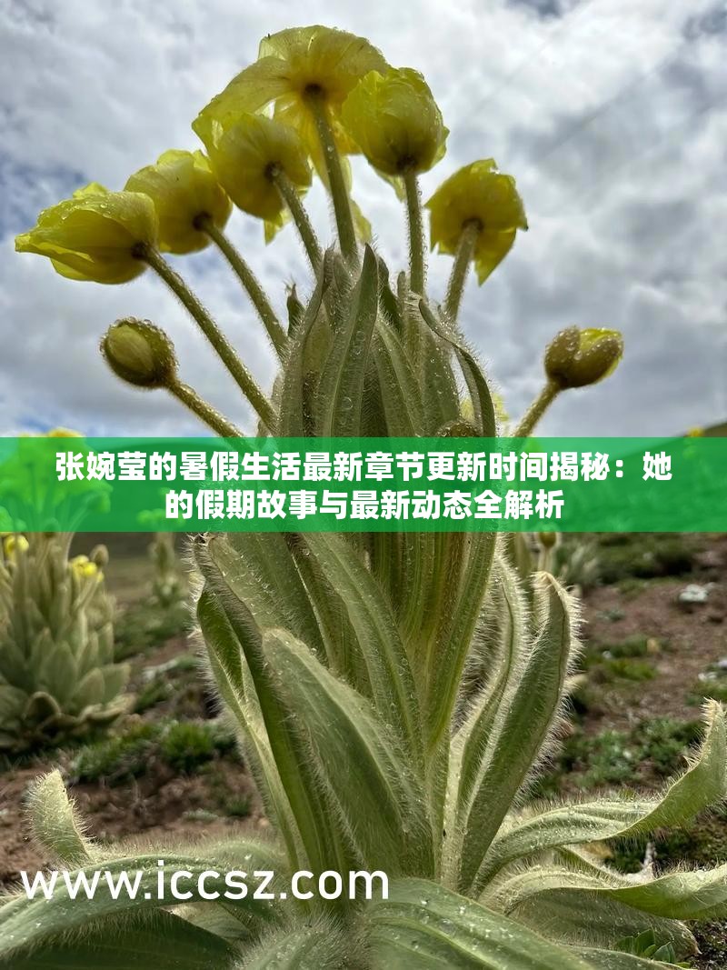 张婉莹的暑假生活最新章节更新时间揭秘：她的假期故事与最新动态全解析