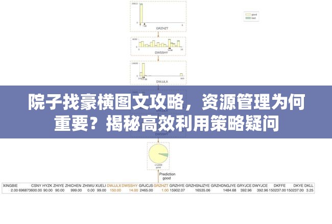 院子找豪横图文攻略，资源管理为何重要？揭秘高效利用策略疑问