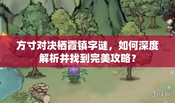 方寸对决栖霞镇字谜，如何深度解析并找到完美攻略？