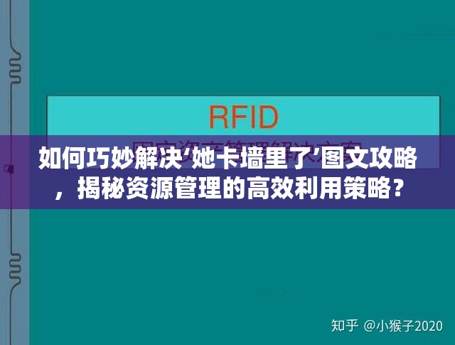 如何巧妙解决‘她卡墙里了’图文攻略，揭秘资源管理的高效利用策略？