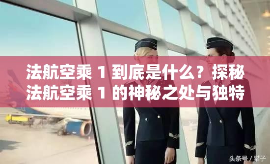 法航空乘 1 到底是什么？探秘法航空乘 1 的神秘之处与独特魅力