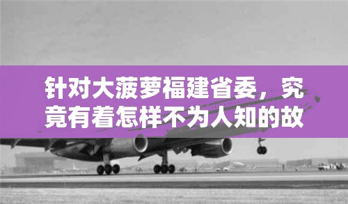 针对大菠萝福建省委，究竟有着怎样不为人知的故事和意义呢？