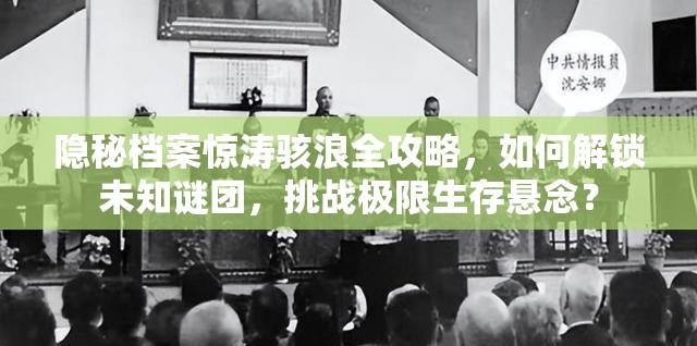 隐秘档案惊涛骇浪全攻略，如何解锁未知谜团，挑战极限生存悬念？