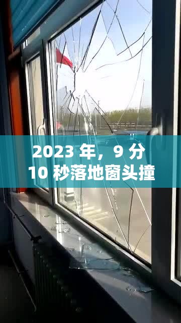 2023 年，9 分 10 秒落地窗头撞玻璃事件为何引发关注？原因何在？2023 惊现9 分 10 秒落地窗头撞玻璃，这背后到底隐藏着什么？2023 发生的 9 分 10 秒落地窗头撞玻璃，到底是怎样的一个情况？