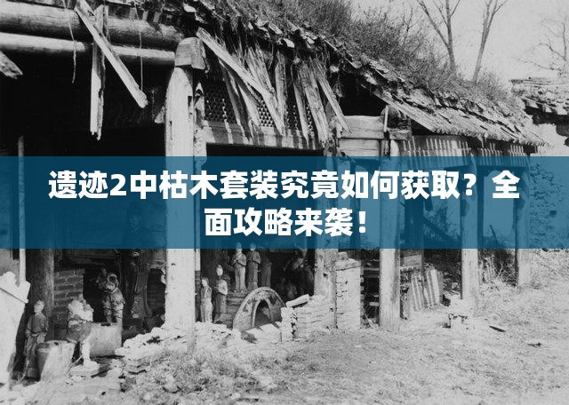 遗迹2中枯木套装究竟如何获取？全面攻略来袭！